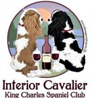 interiorcavalierclub - logo